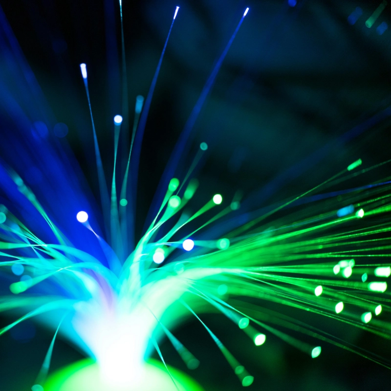 Network Visualization